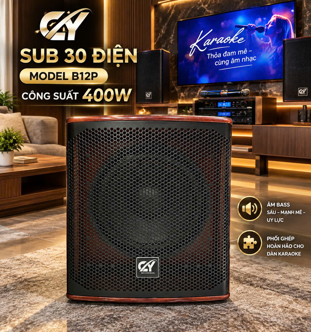 Sub-30 điện 2
