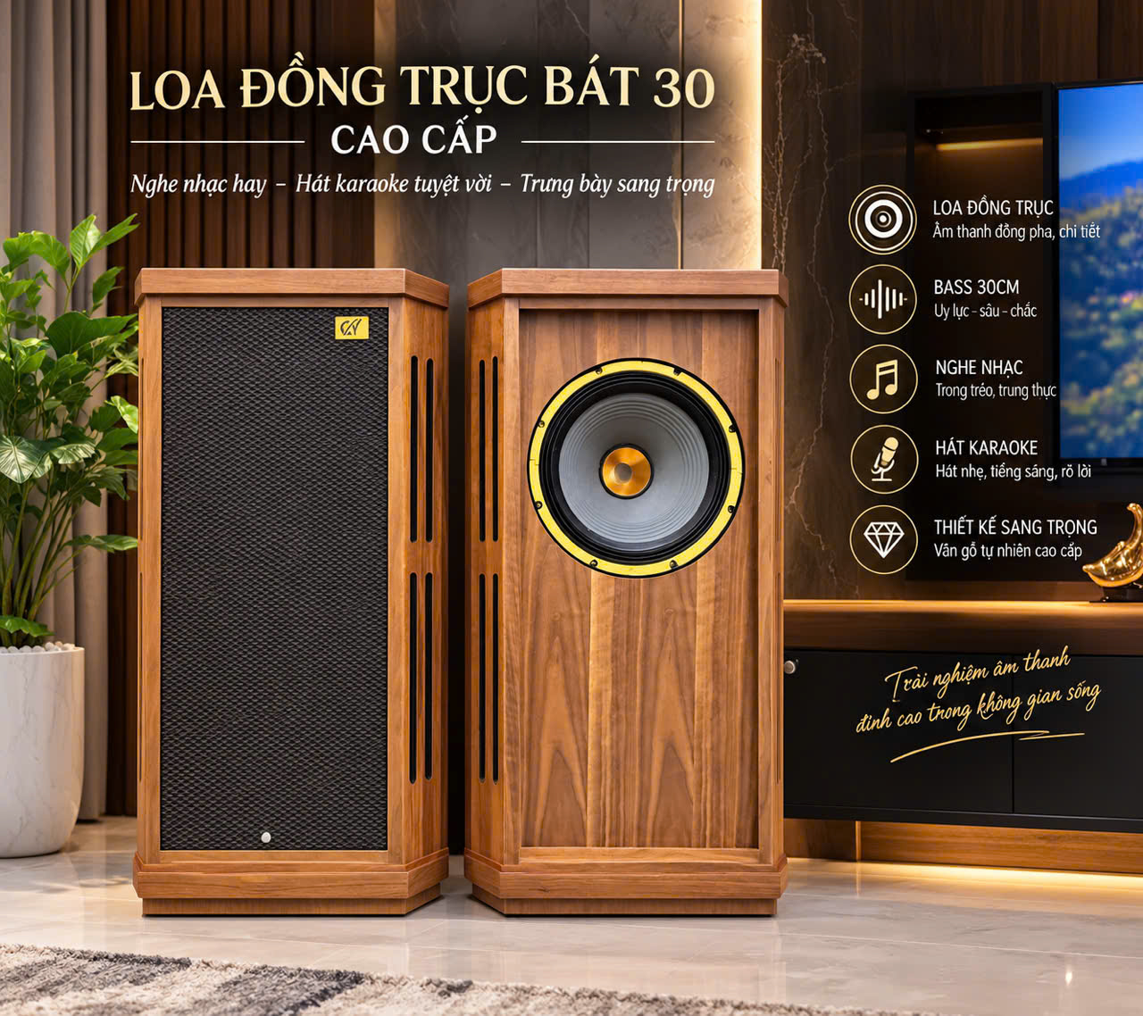 Loa bass đồng trục 30 1